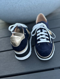 Luca Grossi Lace Up Navy Blue Suede H778M