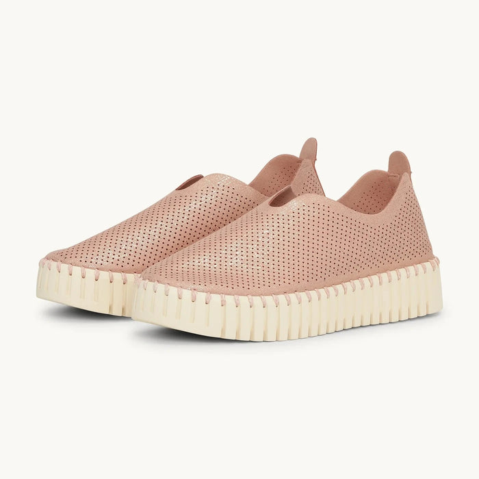 Ilse Jacobsen Shoes Tulip Adobe Rose Pearled Ivory 3577