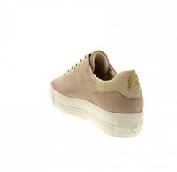 Paul Green Sneaker Antelope/Sand Suede 5320-037