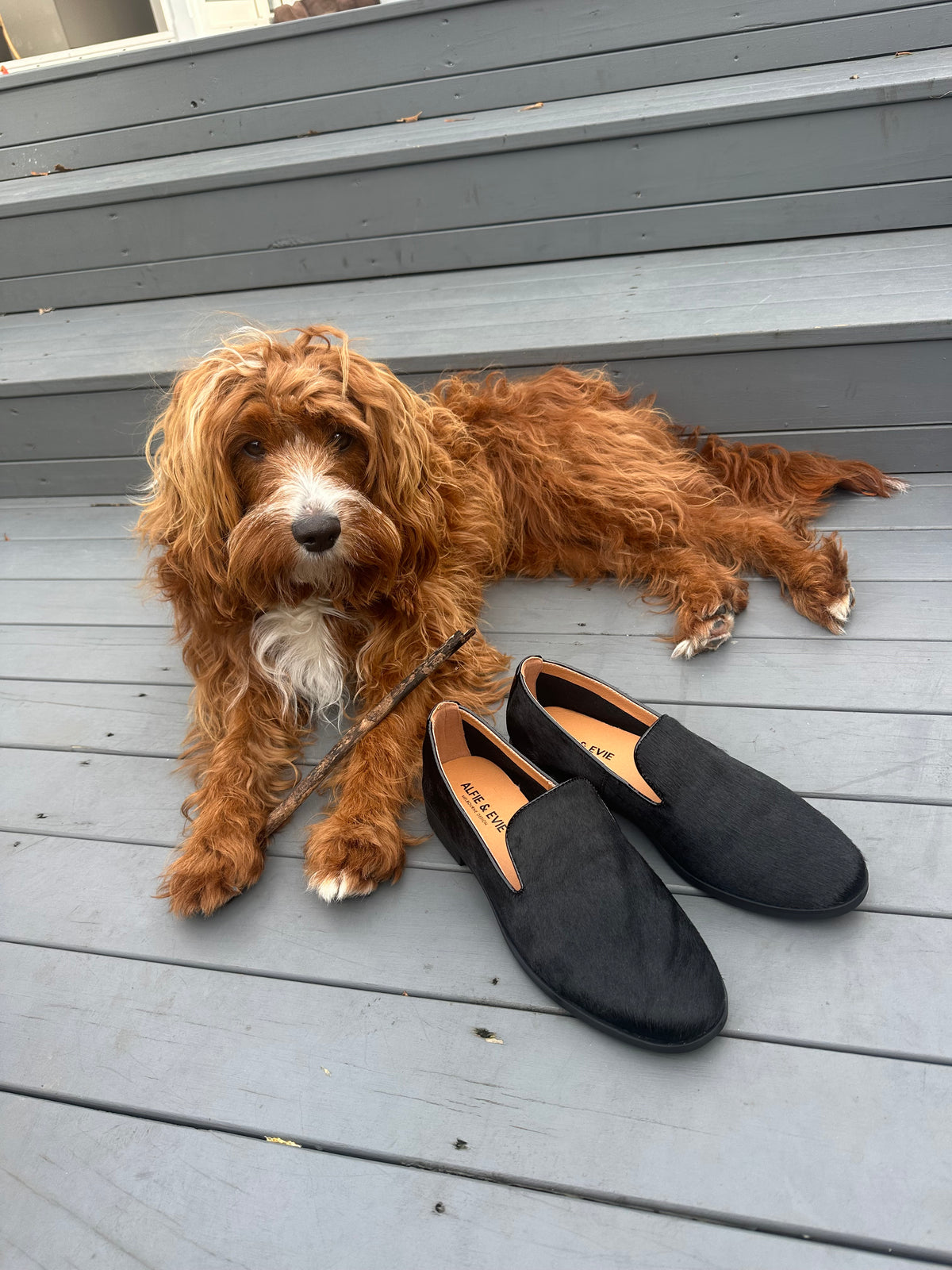 Alfie & Evie Amel Black Pony Loafer