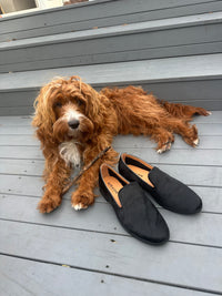 Alfie & Evie Amel Black Pony Loafer