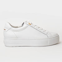 Paul Green 5241-006 White