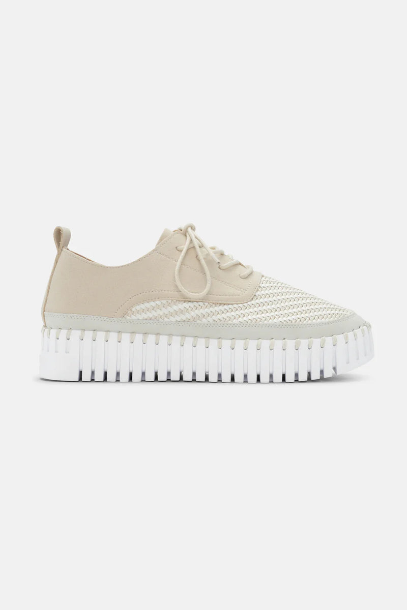 Ilse Jacobsen Shoes Tulip 4094 Kit/White Lace Up