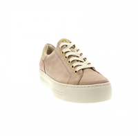 Paul Green Sneaker Antelope/Sand Suede 5320-037