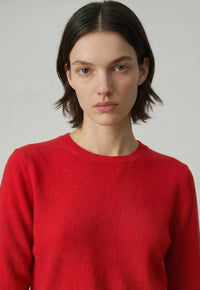Aleger Jumper Classic Crew Poppy 407