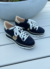 Luca Grossi Lace Up Navy Blue Suede H778M