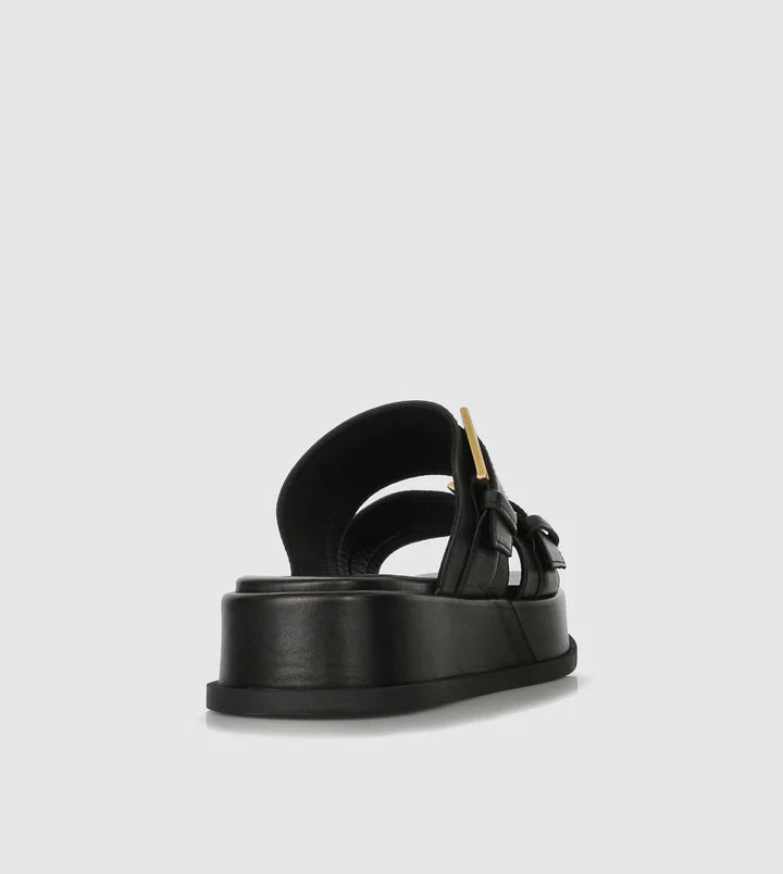 Beau Coops black slide with gold buckle 055-23506-RODU2