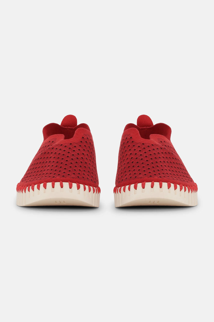 Ilse Jacobsen tulip 3275 deep red 303