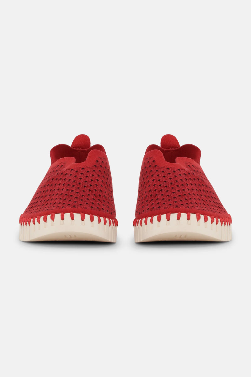 Ilse Jacobsen tulip 3275 deep red 303
