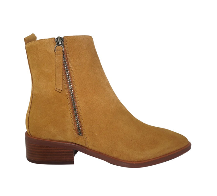Eos Aleksi Camel