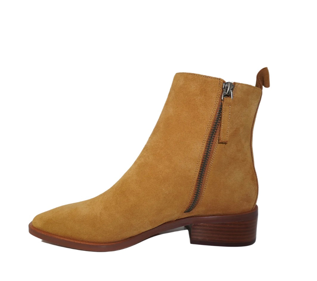 Eos Aleksi Camel